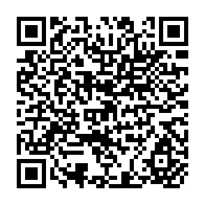 QR Code for Fao Fertilizer Yearbook Annuaire Fao Des Engrais Anuario Fao De Fertilizantes