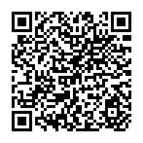 QR Code for Fao Fertilizer Yearbook Annuaire Fao Des Engrais Anuario Fao De Fertilizantes