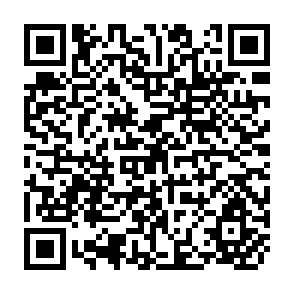 QR Code for Economic Incentives and Comparative Advantage in Indonesian Food Crop Production