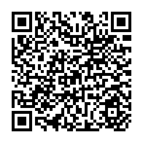 QR Code for Urban Food Insecurity and Malnutrition in Developing Countries: Trends, policies, and Research Implications