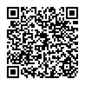 QR Code for Lent and Lost: Foreign  credit And Third World Development