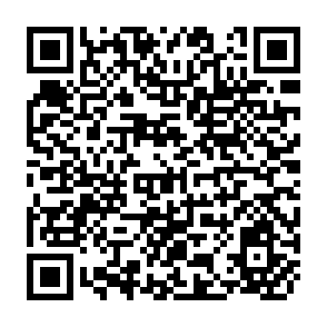 QR Code for Introduction to Sociology