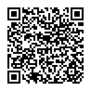 QR Code for Food Subsidies and the Poor