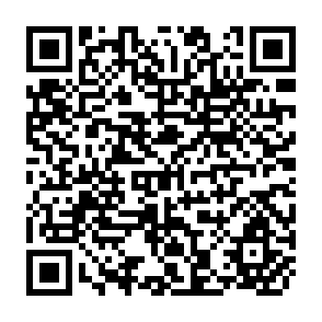 QR Code for When Projects Collapse: Irrigation Failure in the Gambia From a Household Perspective