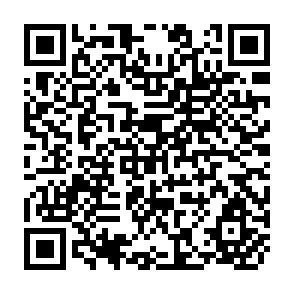QR Code for The Governance Gap