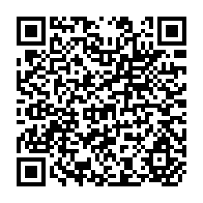 QR Code for Determinants of Rural Service Use Among Households in Gazaland District, Zimbabwe