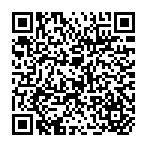 QR Code for The gendered impacts of structural adjustment programs in Africa:Discussion