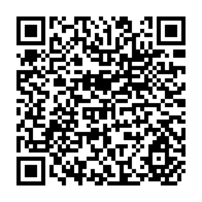 QR Code for Intrahousehold Inequality and the Theory of Targeting