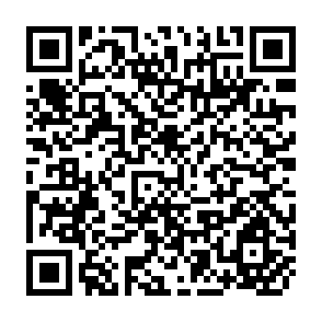 QR Code for Labour Intensive Public Works For Food Security in Africa : Past Experience and Future Potential
