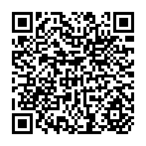 QR Code for Food Aid and Development in the MADIA Countries