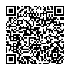 QR Code for Rural Diversification in the Philippines: Effects of Agricultural Growth and the Macroeconomic Environment