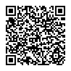 QR Code for Maximum Likelihood Estimation of Between and Within Variations in Energy and Protein Intakes from Infancy to Adolescence for the Philippines