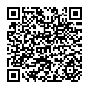 QR Code for Increasing Exports Diversification in Commodity Exporting Countries: A Theoretical Analysis