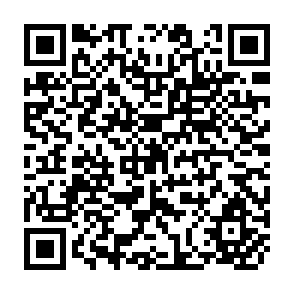 QR Code for Household Responses to Declining Food Entitlement: The Experience in Western Sudan