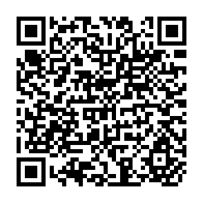 QR Code for Cereal Consumption Shifts and Policy Changes in Developing Countries: General Trends and Case Studies from the West African Semi-Arid Tropics