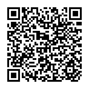 QR Code for The Common Agricultural Policy and African Countries