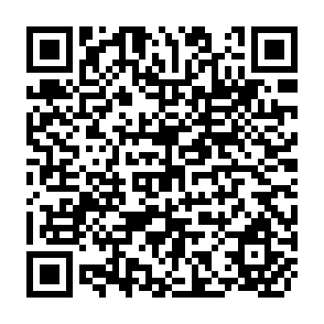 QR Code for Are estimates of Calorie-income elasticities too high?