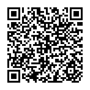 QR Code for Issues In The Analysis Of The Effects Of Policy On Conservation And Productivity At The Household Level In Developing Countries
