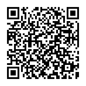 QR Code for Gender bias in the allocation of resources within households in burkina faso: A disaggregated outlay equivalent Analysis