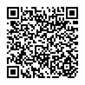 QR Code for Roots,Tubers and Legumes