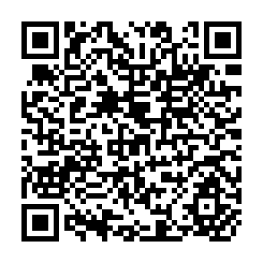 QR Code for Economic Management in China