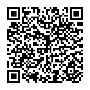 QR Code for Reginal Action Learning Programme on the Development of Conservation Farming Systems