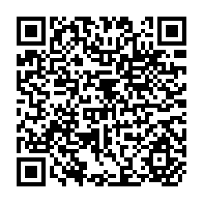 QR Code for Reginal Action Learning Programme on the Development of Conservation Farming Systems