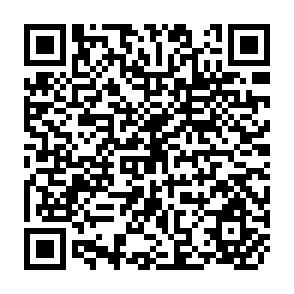 QR Code for Agricultural Policy Reforms and Regional Market Integration in Malawi, Zambia, Zimbabwe