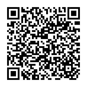 QR Code for Working Paper Series No.121