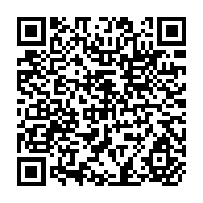 QR Code for Food Security and Regimes of Accumulation: The Case of Argentina