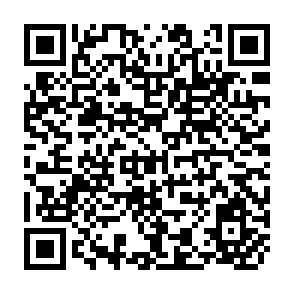 QR Code for Socialism on One Island? Cuba's National Food Program and its Prospects for Food Security