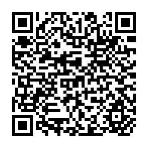 QR Code for Descriptive Measures of the Allocation of Development Aid