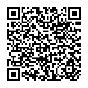 QR Code for Aid and Government: A Dynamic Model of Aid, Income and Fiscal Behaviour