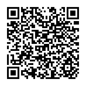 QR Code for Argentine-Brazilian Integration In A Historical Perspective