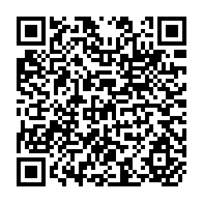 QR Code for Aid Investment and Growth: What Prospects in the 1990S?