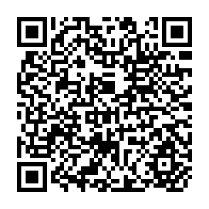 QR Code for Foreign Trade and the Subsistence Sector in Nigeria