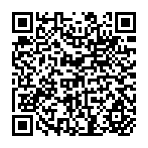 QR Code for Development Ethics- An Emergent Field? A look at scope and structure with special reference to the ethics of aid
