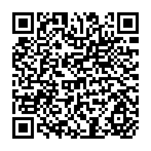 QR Code for World Conservation Strategy