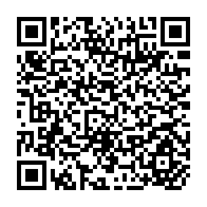 QR Code for FAO/sida Expert Consultation on Policies and Institutions for Integrated Rural Development (IRD)