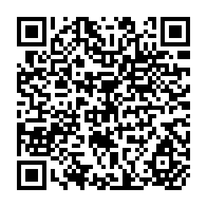 QR Code for Agricultural Information in the fight againts hunger-a political option