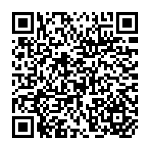 QR Code for Foreign funding and the philosophy of voluntary organizations