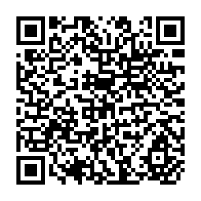 QR Code for The Accumulation of Capital