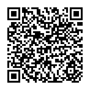 QR Code for The End of a Military Century?