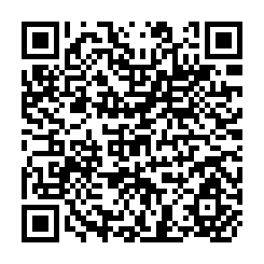 QR Code for The Scale and Scope of Natonal Agricultural Research in Small Development Countries: Concepts and Methodology