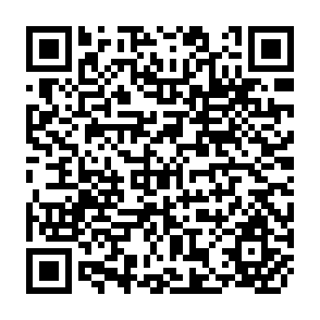 QR Code for The Technology Triangle- Linking Farmers, Technology Transfer Agents, and Agricultural Researchers