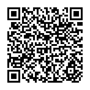 QR Code for Analyzing Conditions of Service for Agricultural Researchers:An Earnings Functions