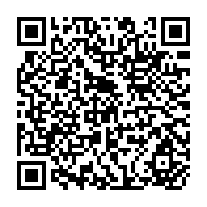 QR Code for The logical Framework in Research Planning and Evaluation