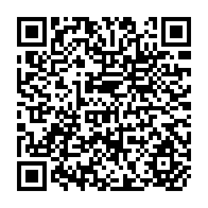 QR Code for Project Management Techiques for Performance Monitoring