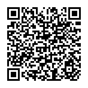 QR Code for A methodological FrAMEWORK FOR Isnar Reviews of National Agricultural Research Systems (NARS)