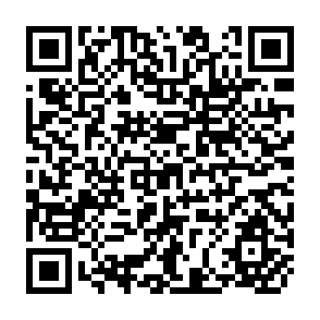 QR Code for Cultural Revo;ution and Industrial Oraganization in China